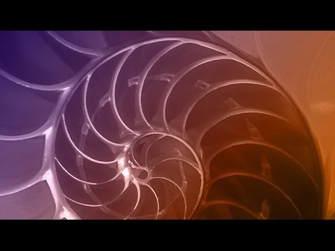 The Great Math Mystery Preview | NOVA