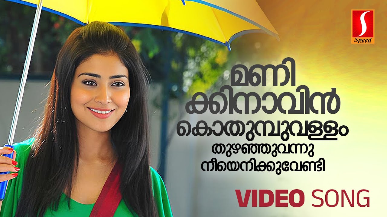 Manikinavin Kothumbuvallam Song | Pokkiri Raja (2010) 🎶