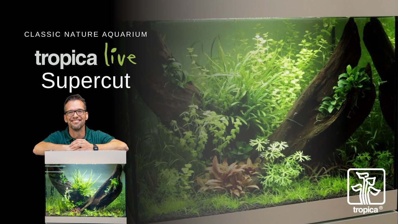 Tropica Live Supercut: Classic Nature Aquarium πΏ