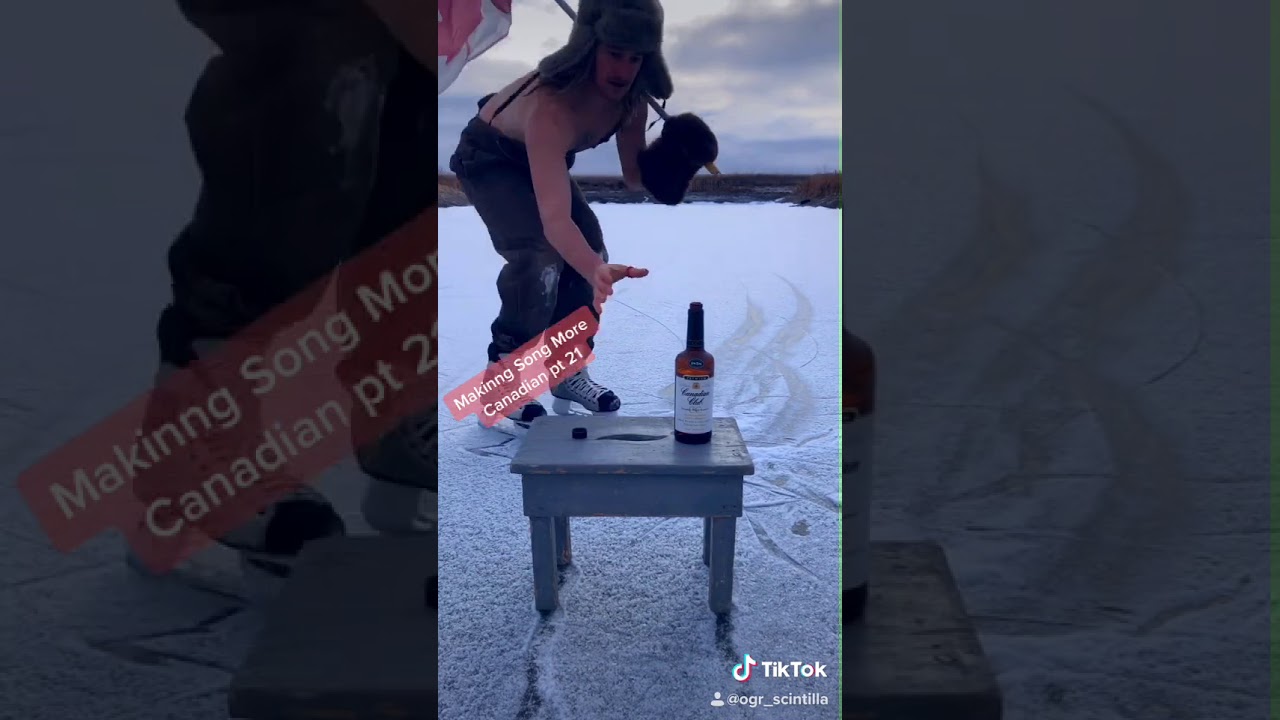 Seniorita by Shawn Mendes & Camilla Cabello Canadian Remix - (TikTok by @ogr_scintilla)