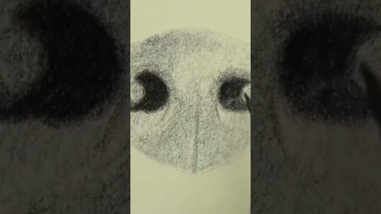 Free 40-Minute Dog Nose Challenge 🐾