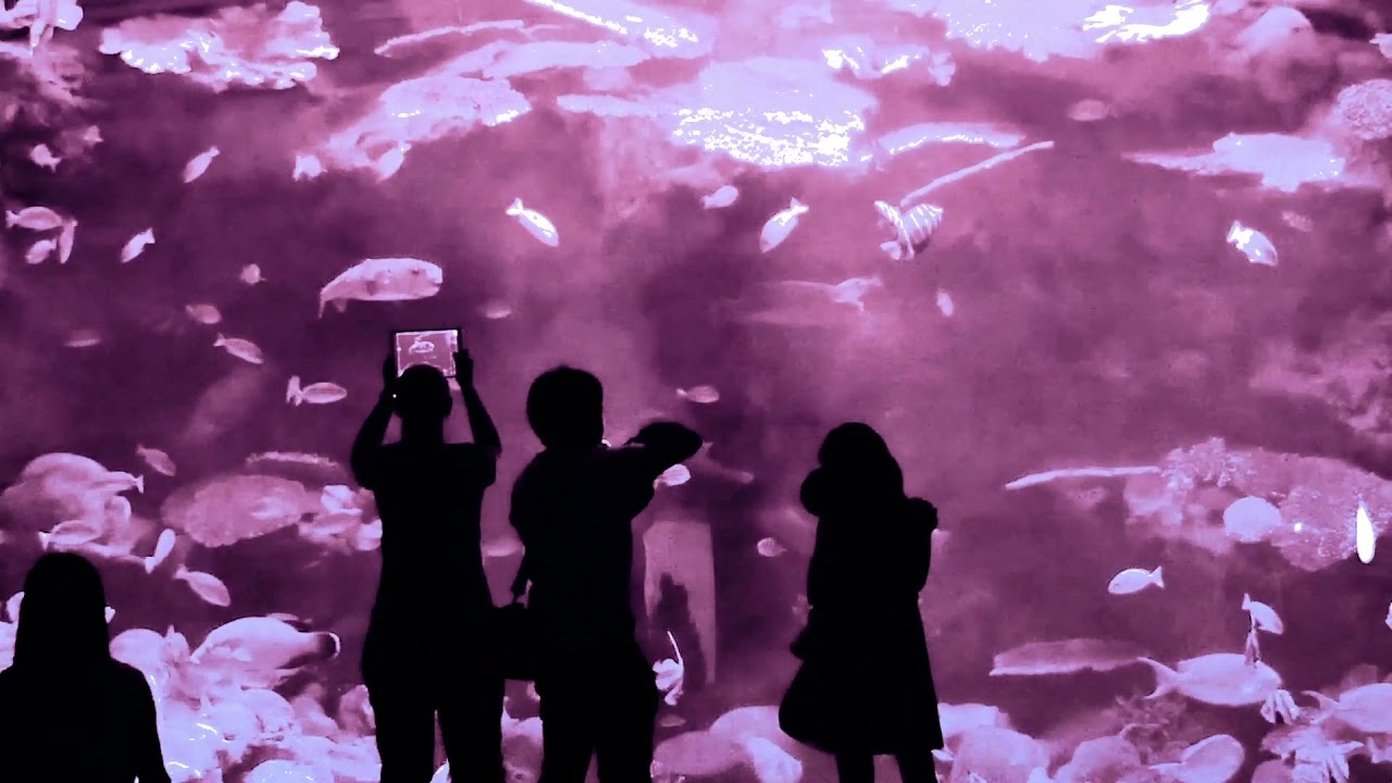 Alina Baraz - Right There (Lyric Video) 🎶