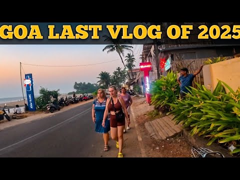 2025 Goa Vlog: Ashvem & Mandrem Beaches 🌴