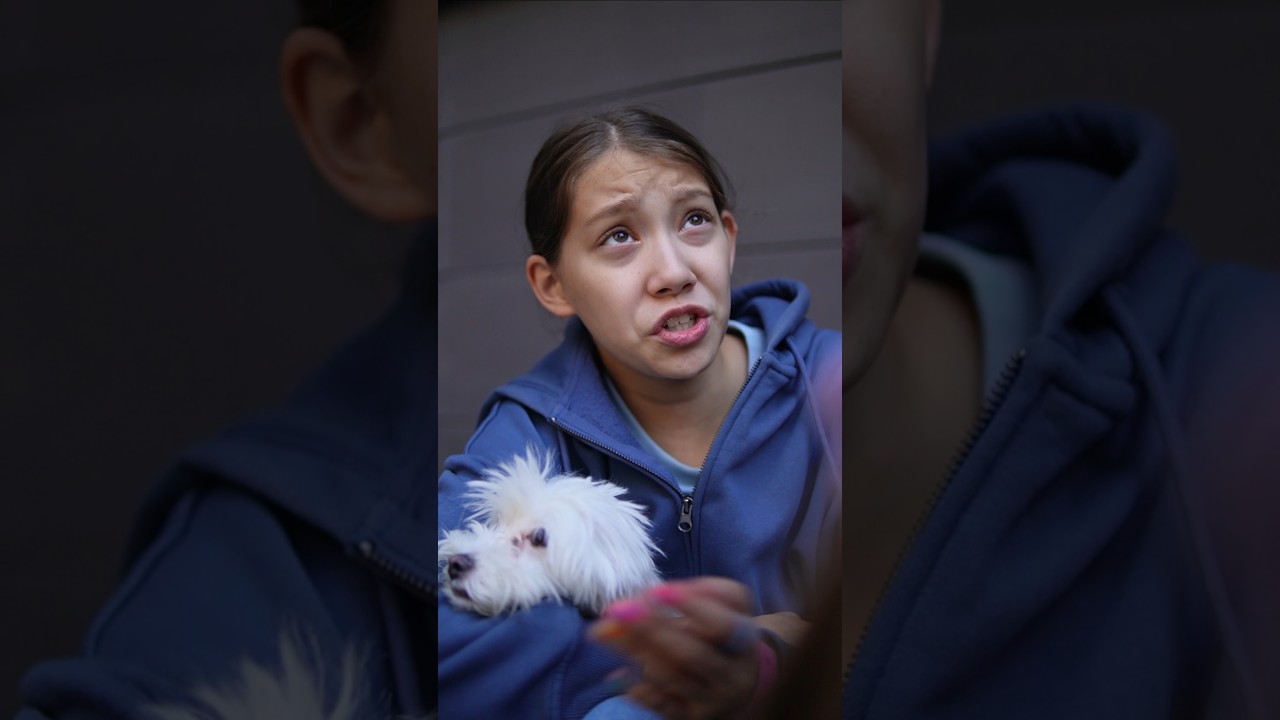 Про собаку: Первая серия — захватывающее начало сериала 🐶