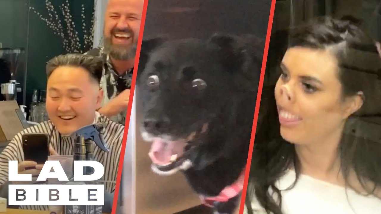 Hilarious Internet Videos You Must See 😂