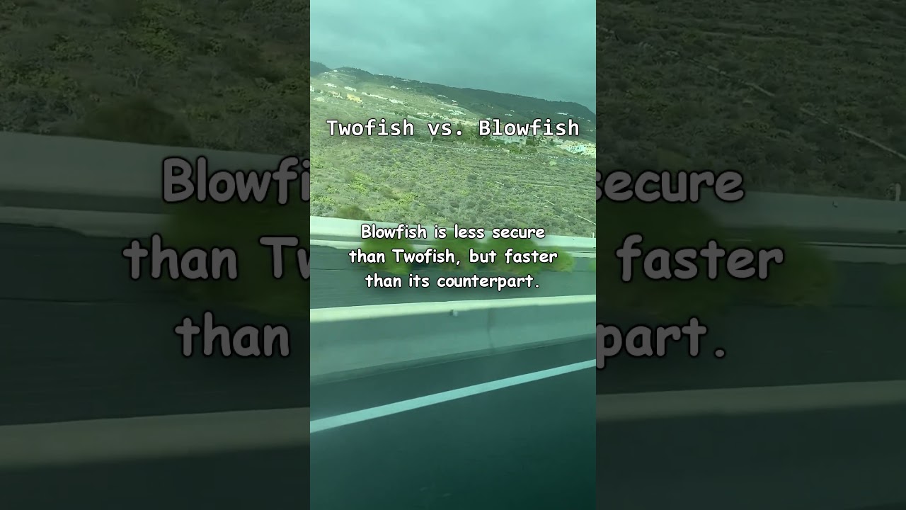 Twofish vs. Blowfish: Which Encryption Algorithm Is Better? π