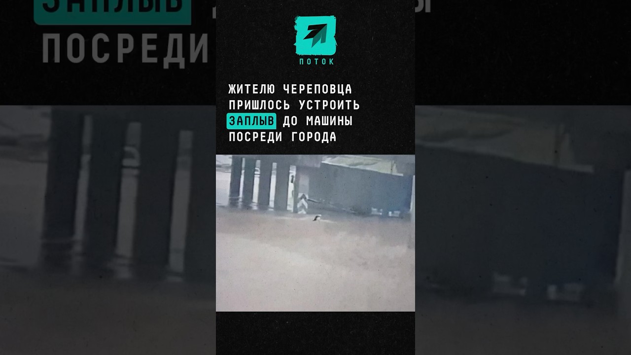 Череповецкий водитель спасся от потопа, переплыв до машины 🌊