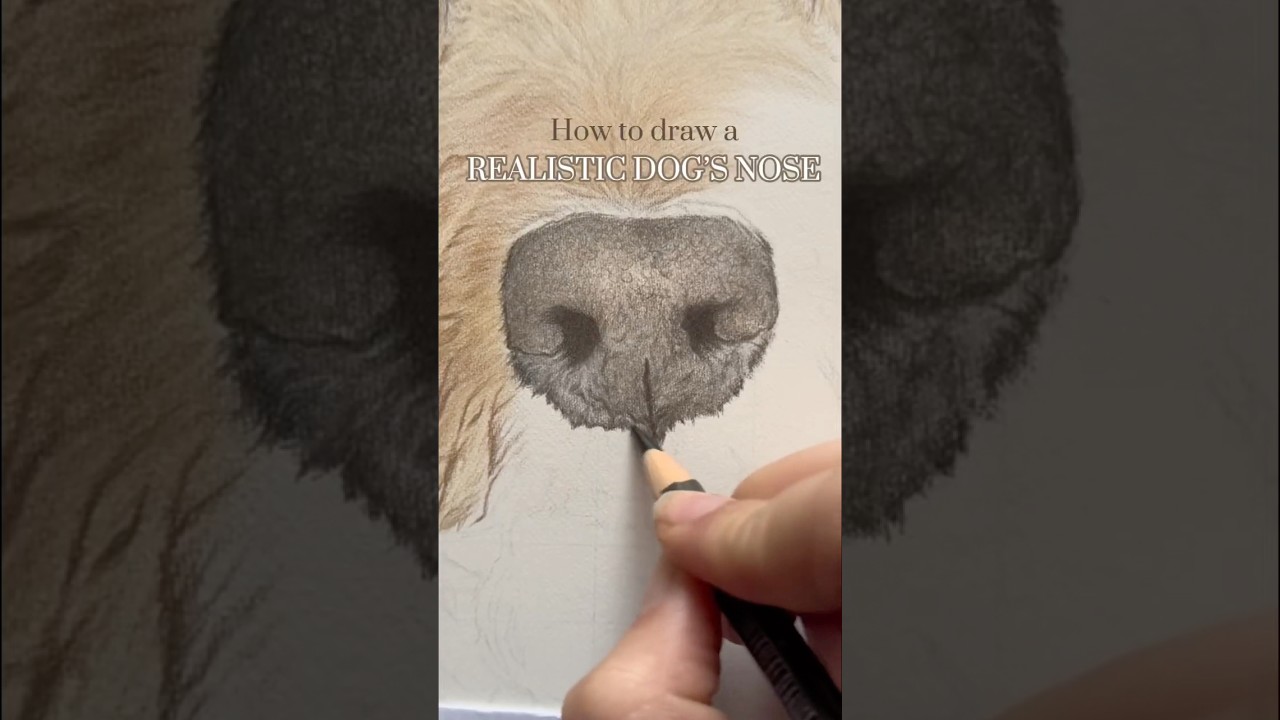 Draw a Realistic Dog’s Nose with Coloured Pencils ✍🏼