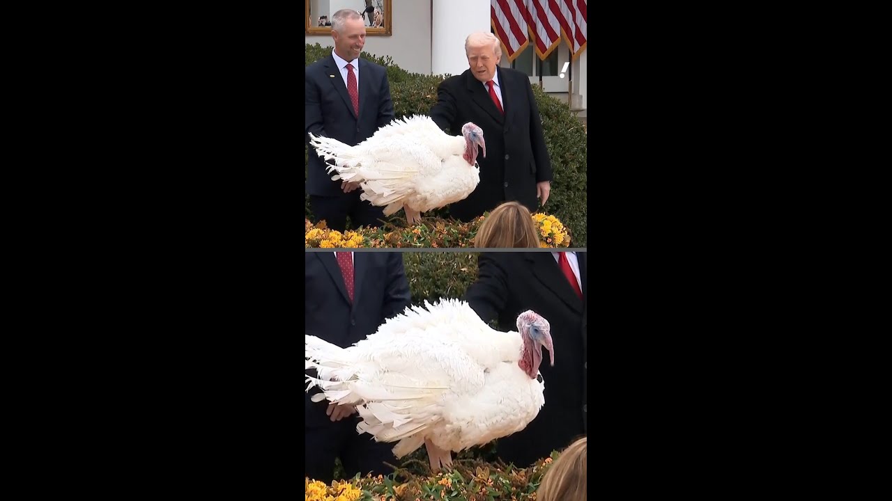 Trump Pardons Two Turkeys Before Thanksgiving 🦃