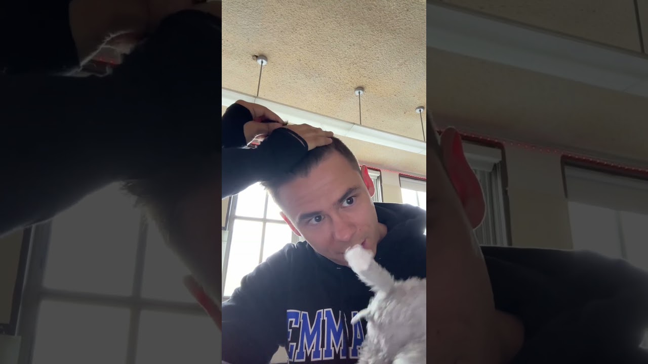 Discover the Daily Life of a Teacher: Insights & Experiences 🍎