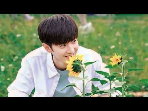 Korean Mix Hindi Songs 2024 💗 Chinese Mix Hindi Songs 💗 Chinese Love Story Song 💗 Chinese Drama 2