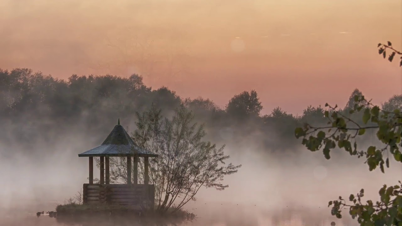 Глубокий Сон и Расслабление: Спокойная Музыка для Сна и Стресса 🌙