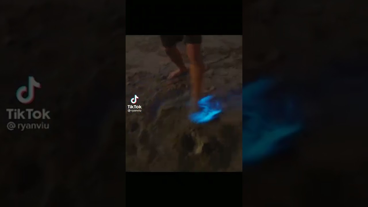 Sea Sparkle in the Ocean 🌊