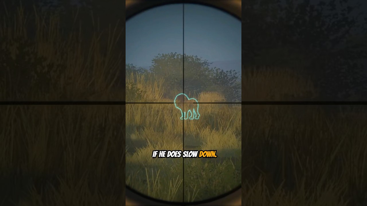 Rare Lion Encounter in #cotw Gameplay π¦