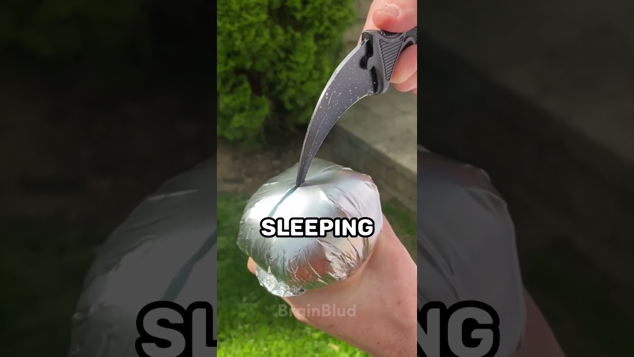 13 Surprising Facts You Didn't Know 🤔