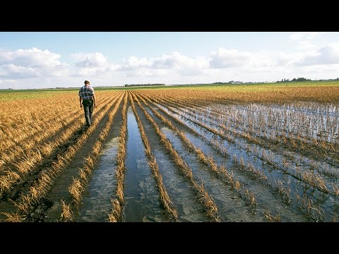 2021 Call for Code Global Challenge — IBM Developer