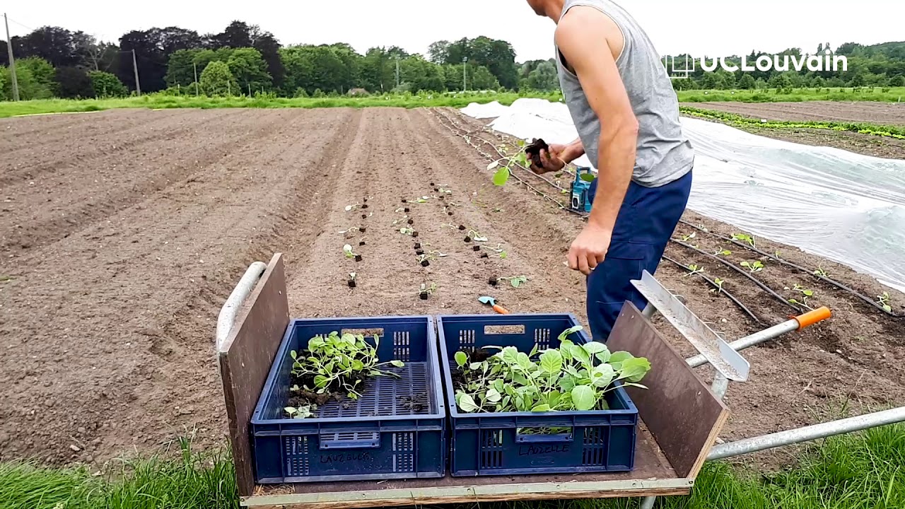 Ferme UCLouvain innovante pour légumes bio abordables 🌱