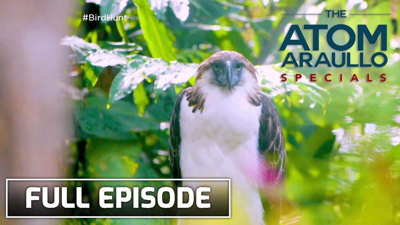 Atom Araullo Specials: Bird Hunt 🐦 (Full Episode)