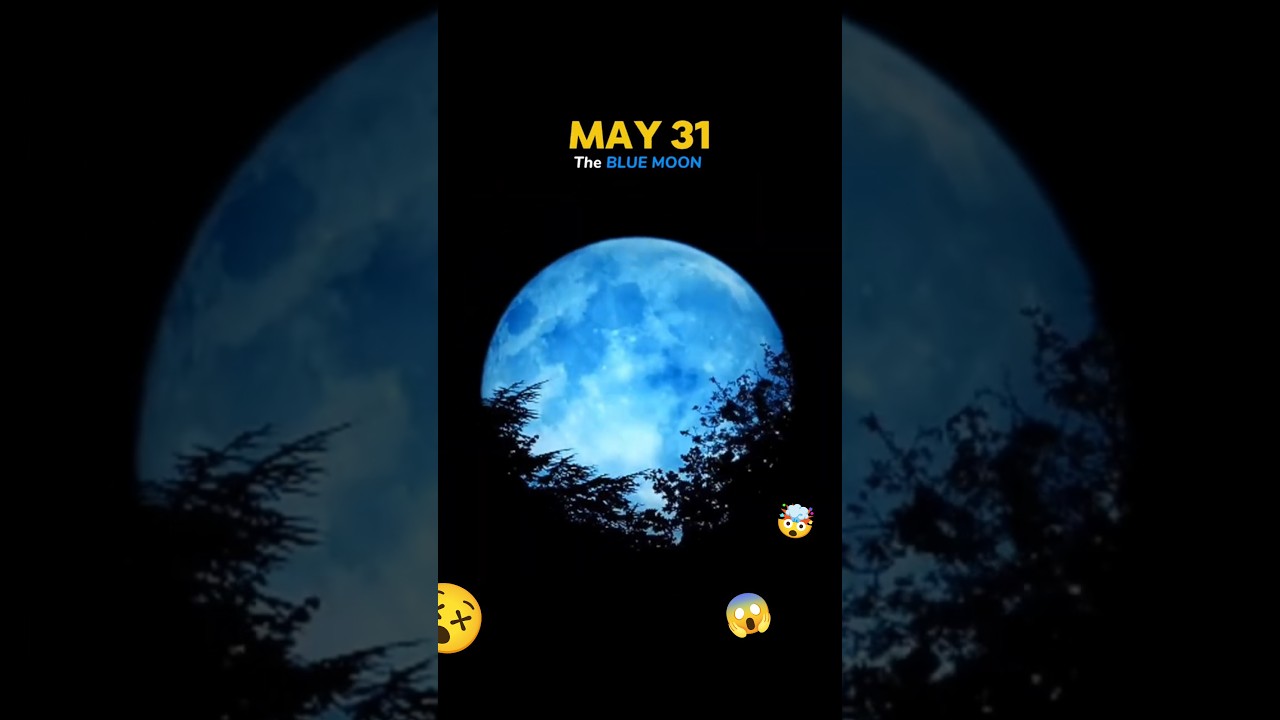 2026 Full Moon Calendar: A Stunning Journey Through The Year 🌕#moon #2026 #space #moon2026 #fullmoon