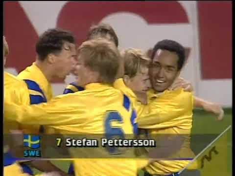 🇸🇪 lyckade VM-kval 1992