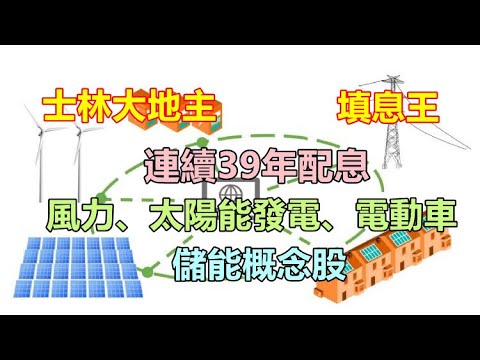 士林地主重電大廠，連續39年配息且是超會填息王，事業群布局綠能產業，跨入太陽能、風力發動與電動車市場，未來黃金10年將有望成為台電千億電網的大贏家?【5分鐘看個股】1503 士電