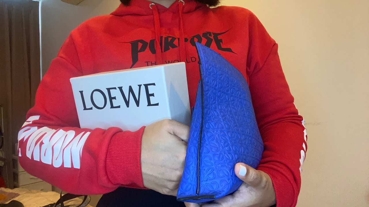 Loewe & Coach Pillow Tabby Haul ✨