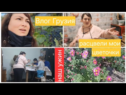 Влог Грузия.Будние многодетной мамы. Расцвела мои цветы.Наш ужин .Семейный Влог. Gabi-babi.
