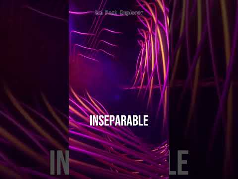 Quantum Entanglement - Quantum Theory in Hindi #science