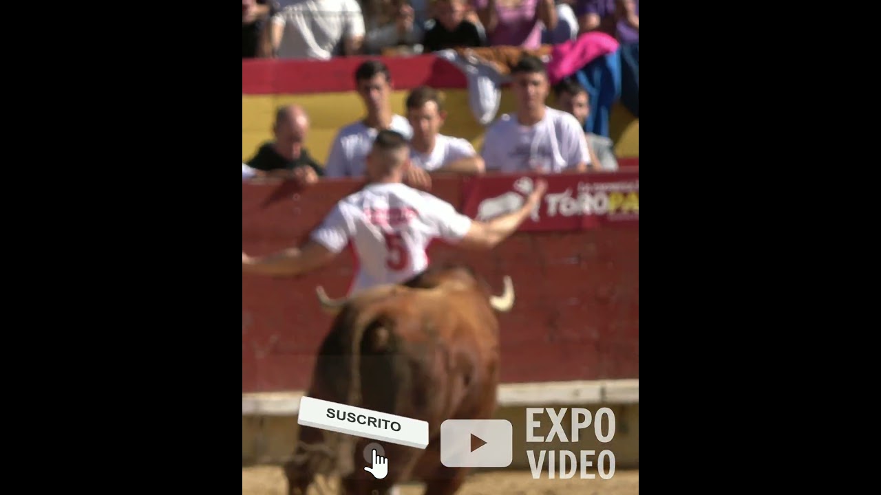 Recorte Final en España: Castellón 2022 👏