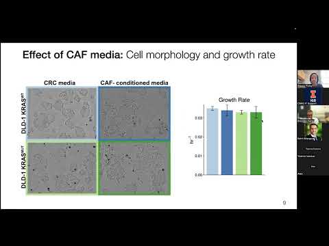 Computational modeling of the tumor ecosystem