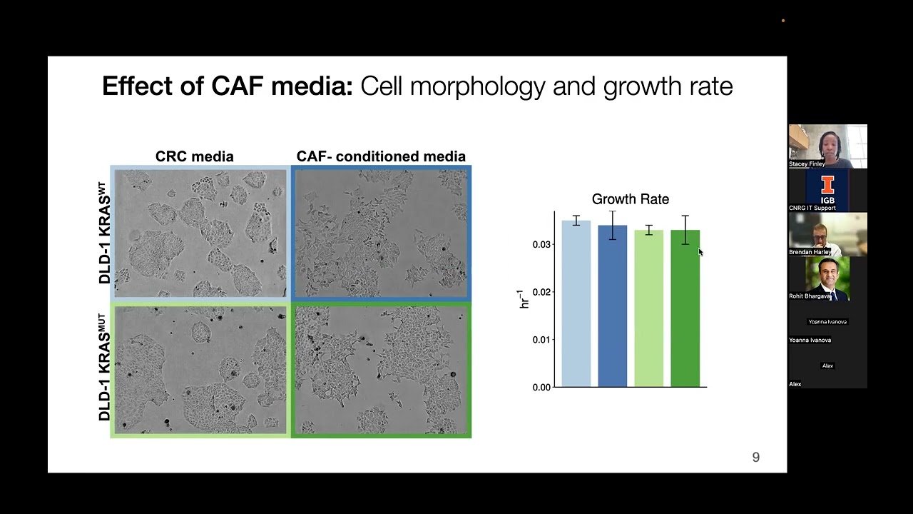 Unlocking Cancer's Secrets: Computational Models of the Tumor Ecosystem 🧬