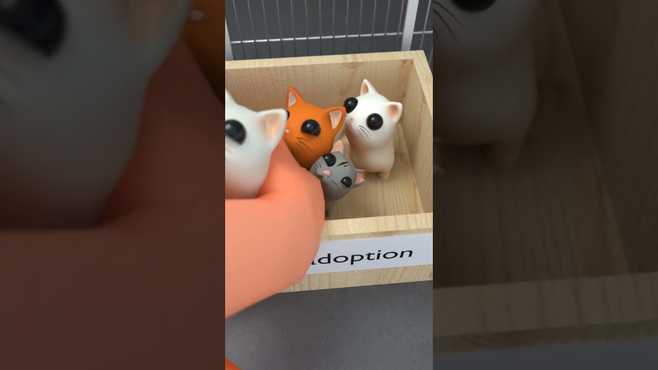 Adopt a Cat at Our Shelter 🐱