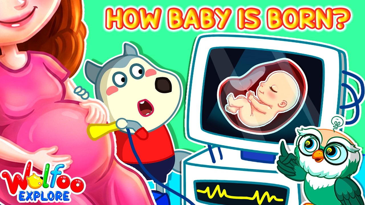 NEW| Wolfoo Explore 🔍 How Baby Is Born? Human Body | Wolfoo Channel | Kids Cartoon