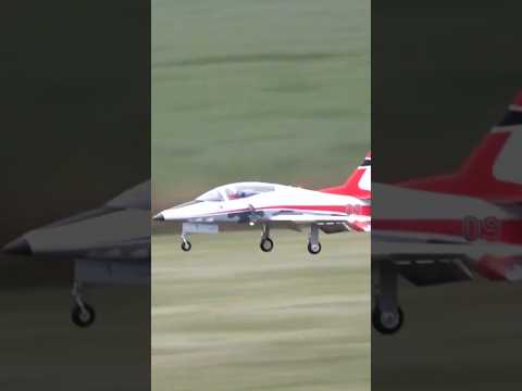 Eflite Viper 90 Grass Field Landing #rclife #rcairplane #eflite
