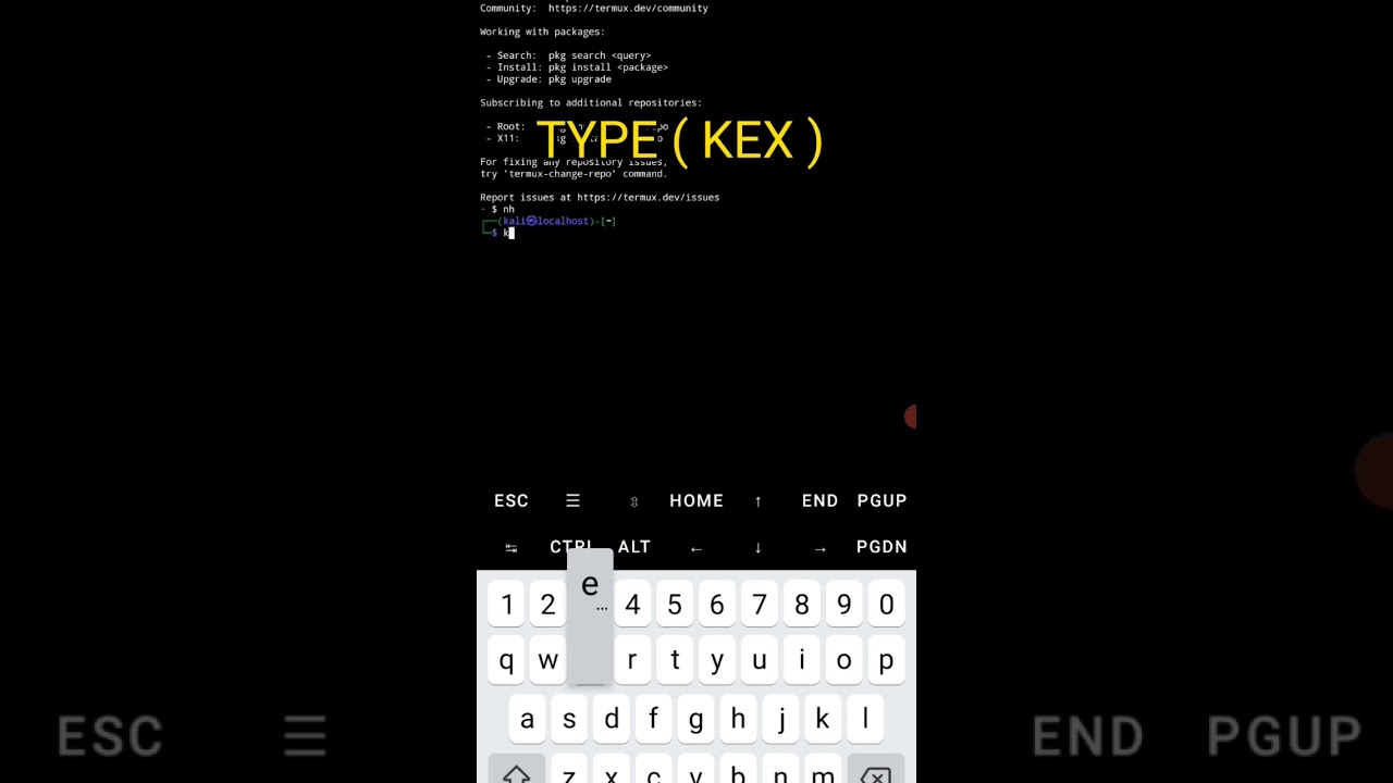 Troubleshooting Kali NETHUNTER KEX Error: Solutions and Fixes