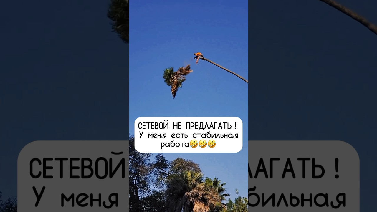 Работа онлайн и МЛМ: идеи и советы 💼