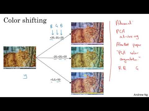 C4W2L10 Data Augmentation