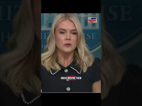 Trump: removing homeless by force