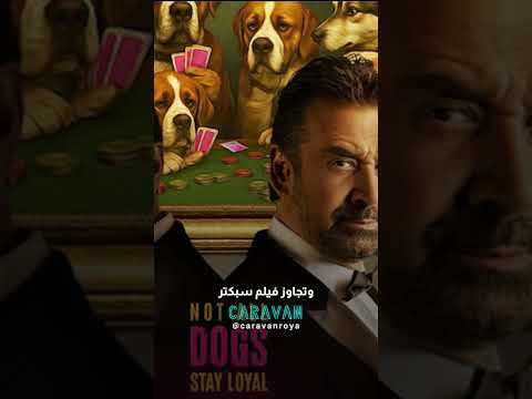 فيلم 7 Dogs السعودي يدخل غينيس برقمين عالميين