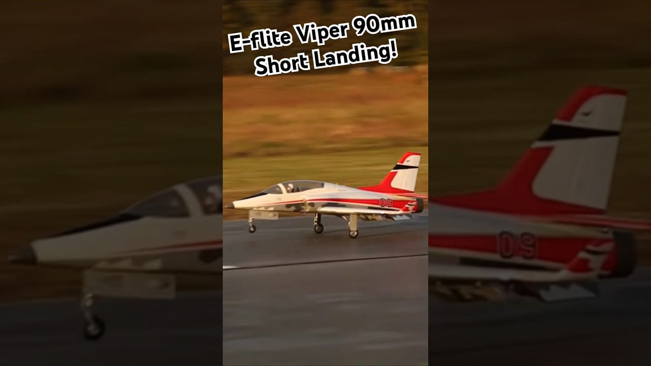 Spectacular Short Landing of the E-Flite Viper 90 ✈️ | RC Plane Showcase