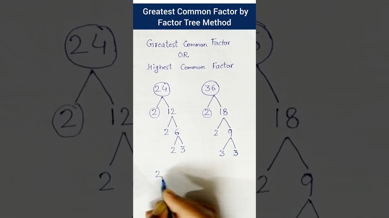 HCF Using Factor Tree Method 🌳
