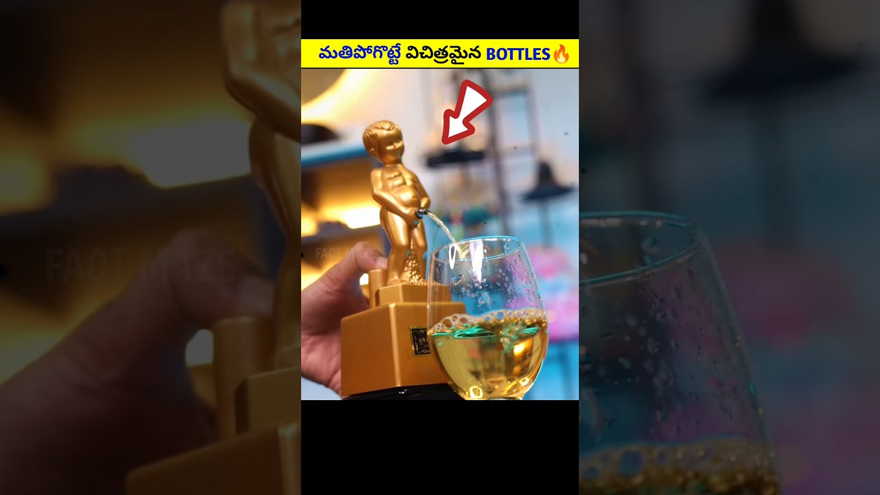 Top 2 Amazing Water Bottles 🔥