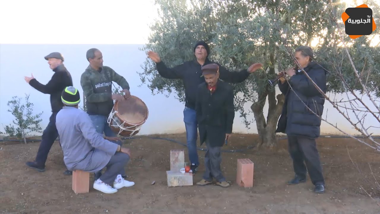 نقار وعجاج يضحكان في عرس الوالي 🎉