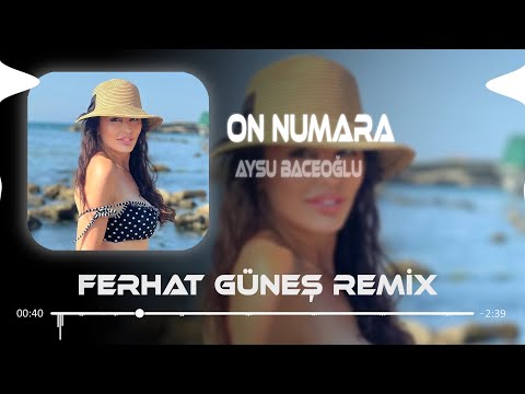 İçeri Girerken Dikkat Et Bak Kapıda Yazıyor 10 Numara - Aysu Baceoğlu ( Ferhat Güneş Remix )