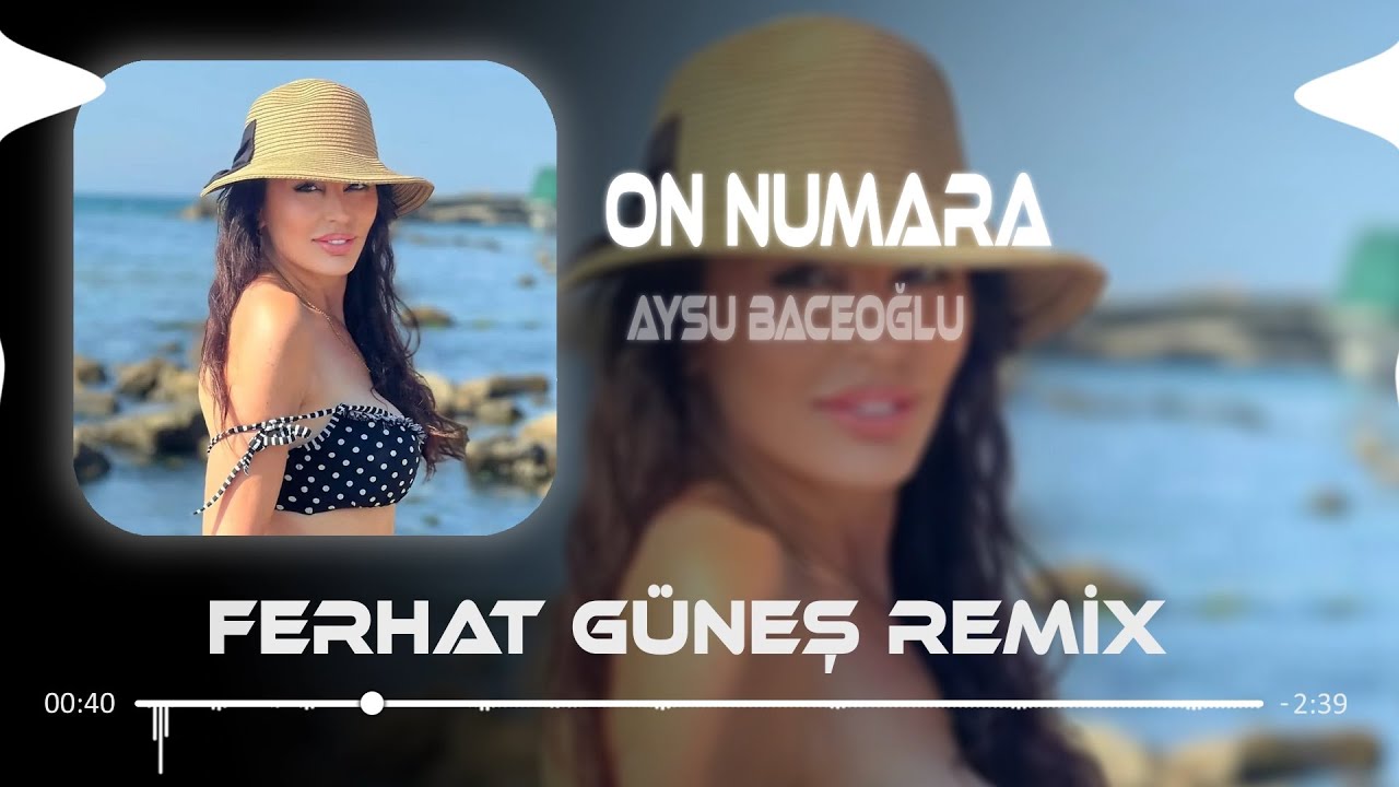 İçeri Girerken Dikkat! 10 Numara - Aysu Baceoğlu (Remix)