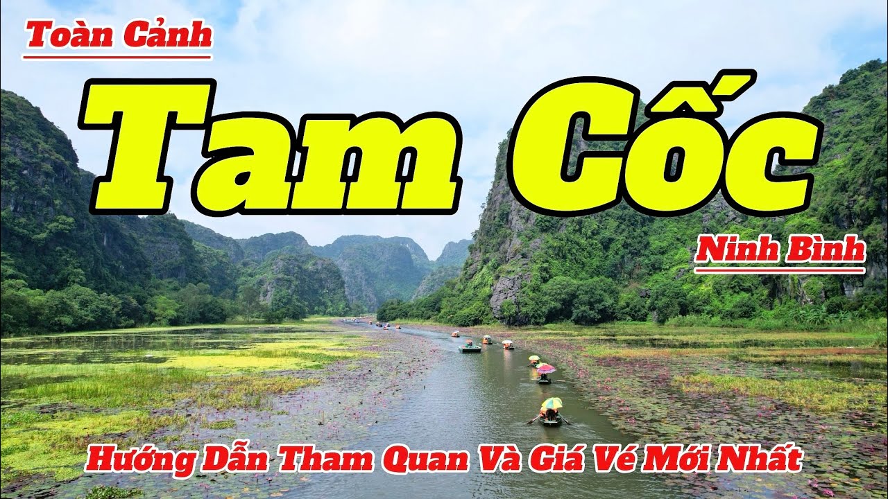 Toàn Cảnh Tam Cốc Ninh Bình Mùa Đẹp Nhất 2025 | Hướng Dẫn Tham Quan Chi Tiết Và Mới Nhất