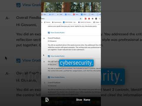 Unlocking Cybersecurity: The Essentials of the CIA Triad