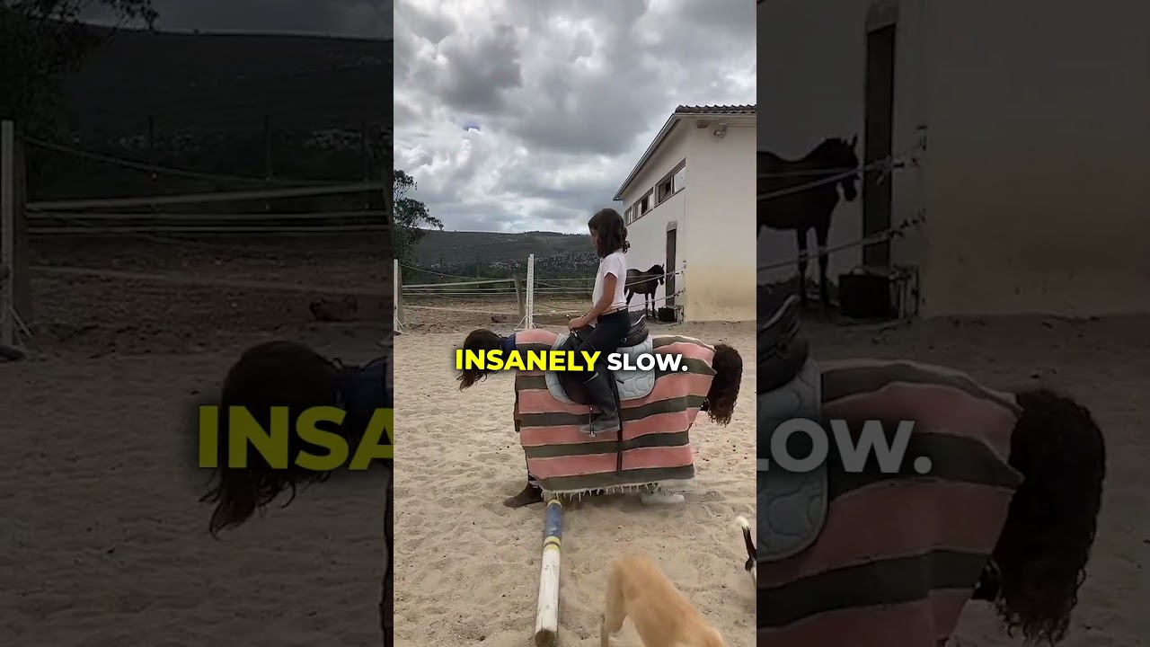 Issues with Their Horses 😯🐎🐴