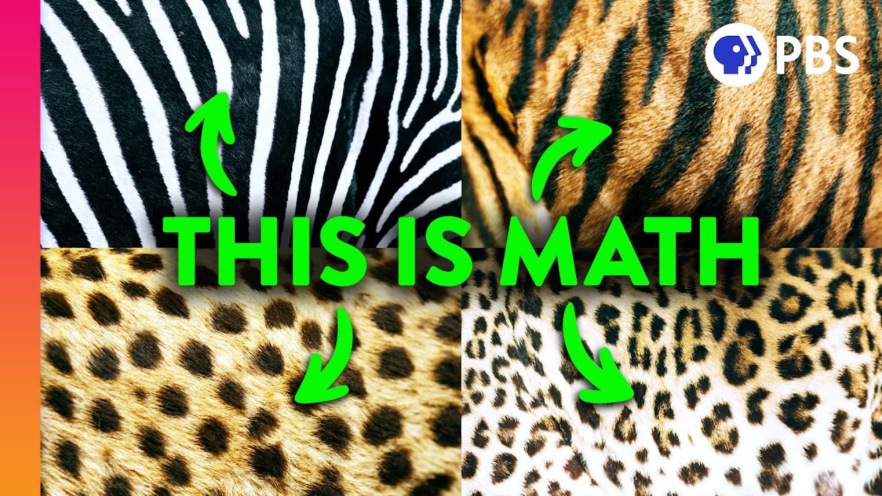 Unlocking Nature’s Secrets: The Hidden Math in the World Around Us 🔍