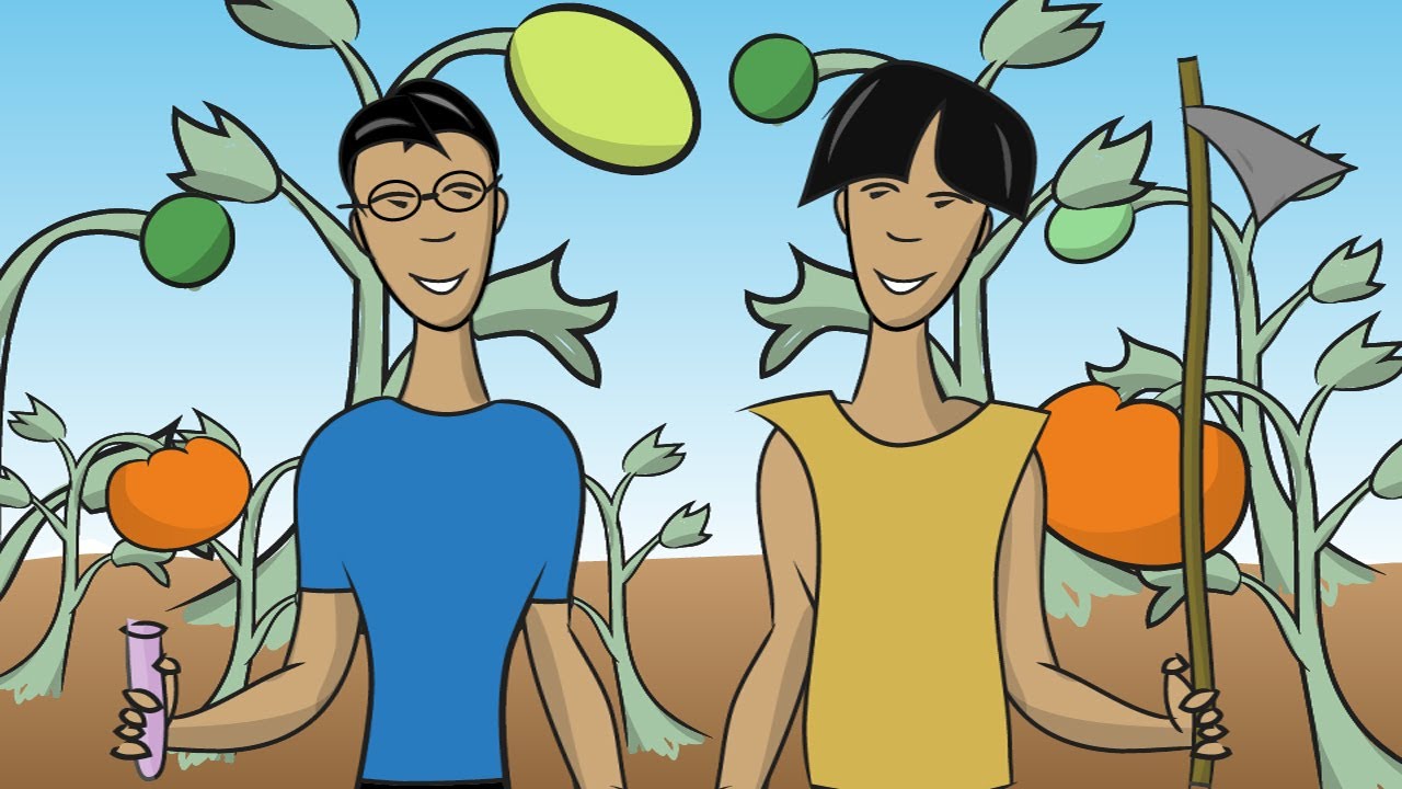 What Are Genetically Modified Foods? π±